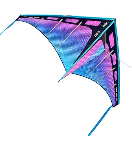 Kite Amazon.com: Premier Kites 7 Ft Parrot 3D Kite Big Kite for Adults