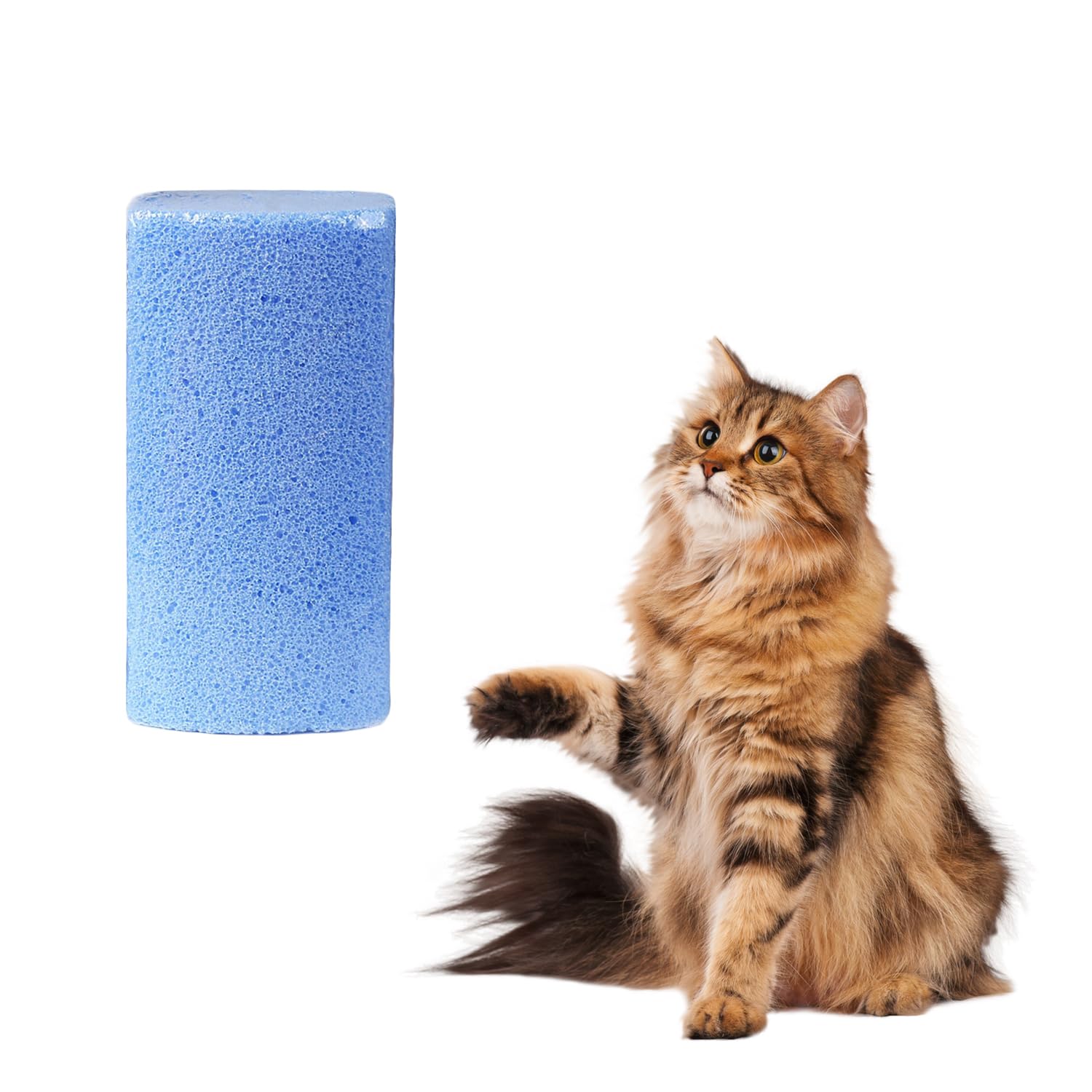 UNVOJL Pet Hair Remover Pet Fur Remover Pumice Stone Dog Cat Pet Hair Removal Tool Cleaning Pet Hair Stone for Car Couch Bedding