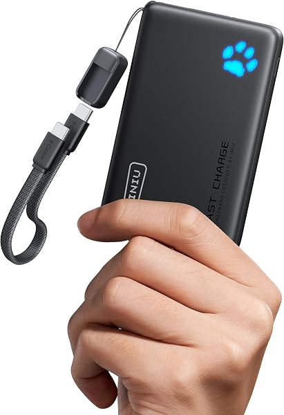 INIU 45W Fast Charging Portable Charger, 40% Smaller 10000mAh with Detachable Cable, Flight-Safe Travel Power Bank, USB C Ext