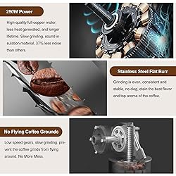 Cold Press Juicer Extractor Fruit
