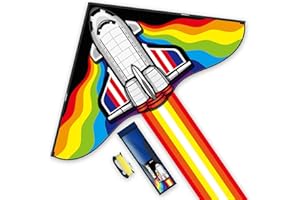 Doinfly Delta Kite for Kids & Adults, Extremely Easy to Fly Kite, Single Line Beach Kite with Winder for Family Outdoor Games & Activities