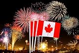 BigTree 50 Mini Canadian Flags on Sticks for Party & Events view 4