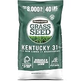Pennington Kentucky 31 Fescue 40 LB Tall Fescue Grass Seed, Grass Seeds for Lawn
