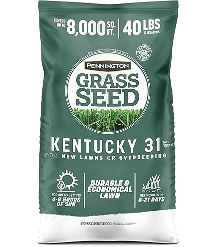 Amazon.com : Jonathan Green (11460) Contractor's Grass Seed - Cool