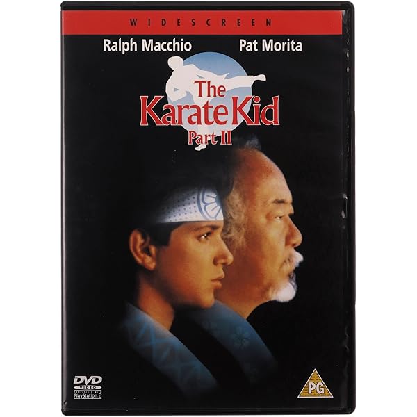 【 DVD】great journey of KARATE2 特別版 中古その他DVD GREAT JOURNEY OF KARATE 2 SPECIAL EDITION