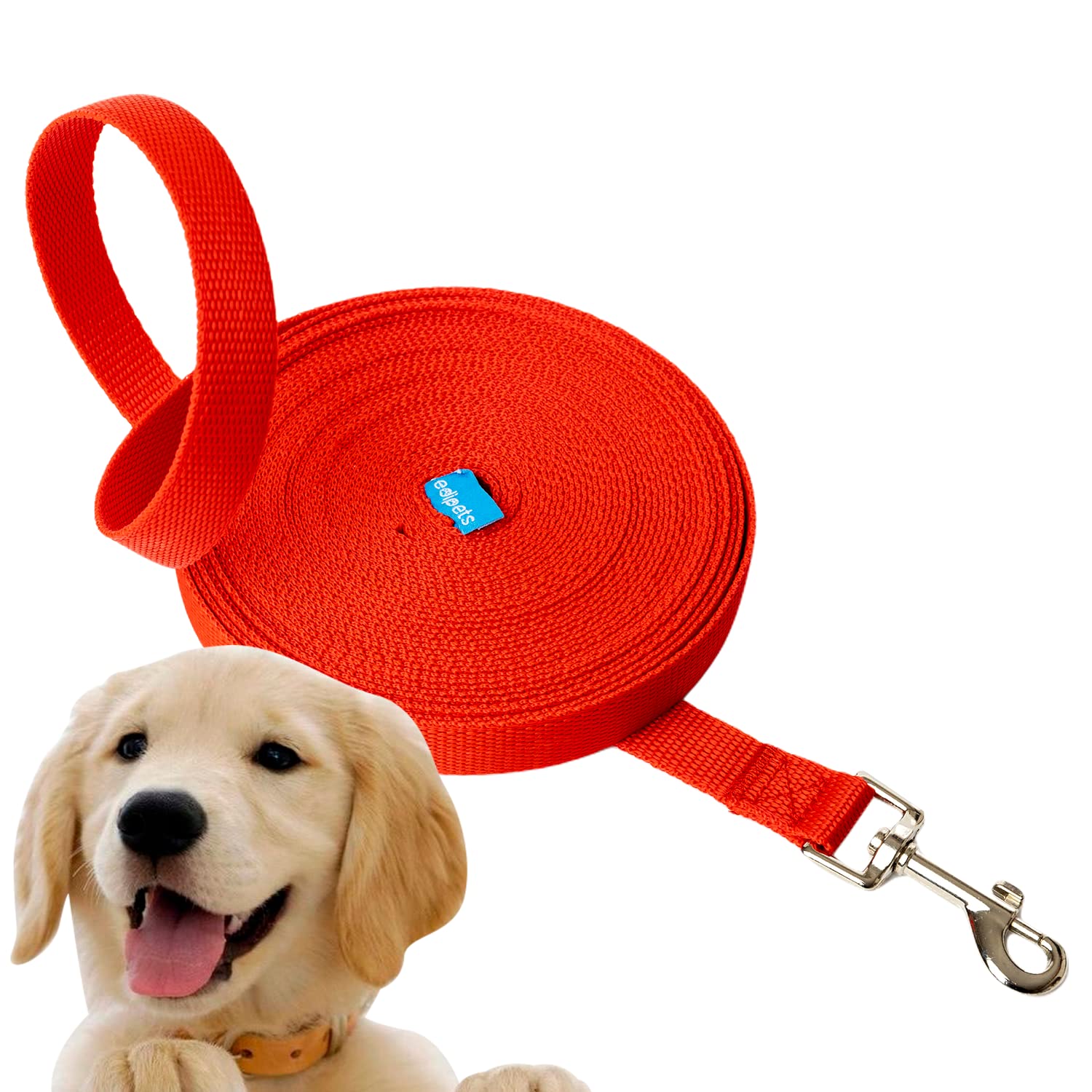 Edipets, Training Lead for Dogs, Dog Lead, Strong Tape, 1.5m / 3m / 5m / 10m / 15m Long, Nylon, for Puppy, Small, Medium and Large Dogs, Red, Black or Blue (1.5 m, Red)