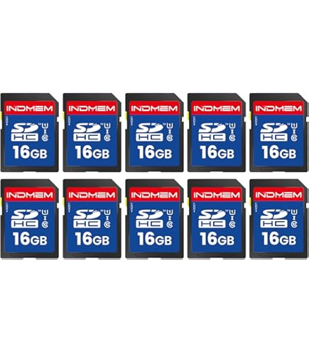 Amazon.com: Sandisk 16GB (10 Pack) SD Card Bundle SDHC Class 4