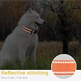 HEELE Reflective Dog Collar Adjustable XS Orange 20-30cm Neoprene Pad view 6
