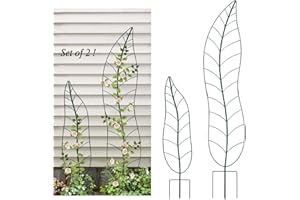 YY-LADYBUG Garden Trellis Plant Support Trellis Green Leaf Trellis Garden Decoration for Climbing Vines Floral Metal Trellis Set of 2（Green）