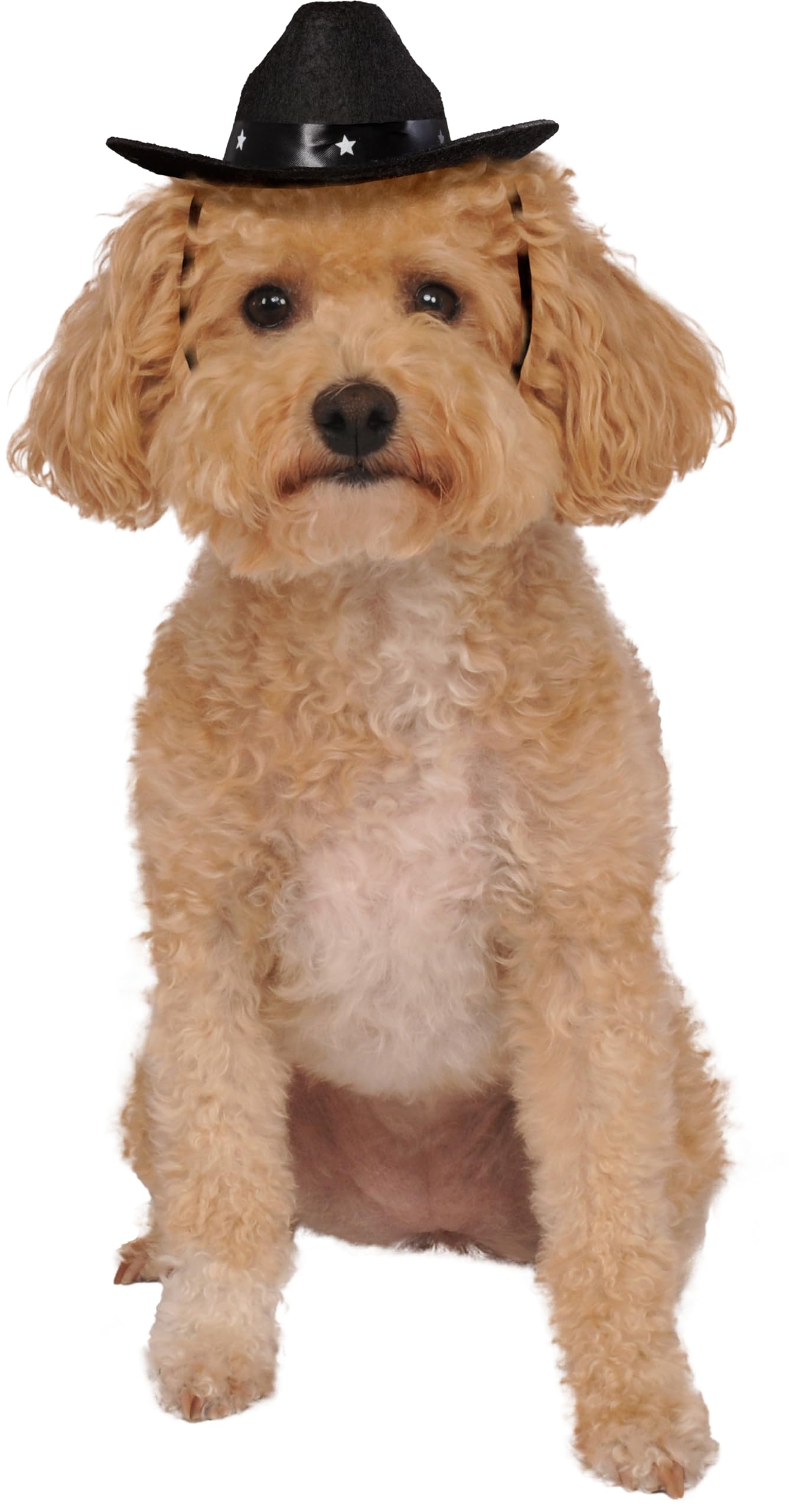 Rubie's Black Cowboy Hat for Pets, Medium/Large