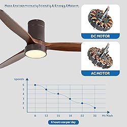 CACI Mall Low Profile Ceiling Fan with Lights, 52
