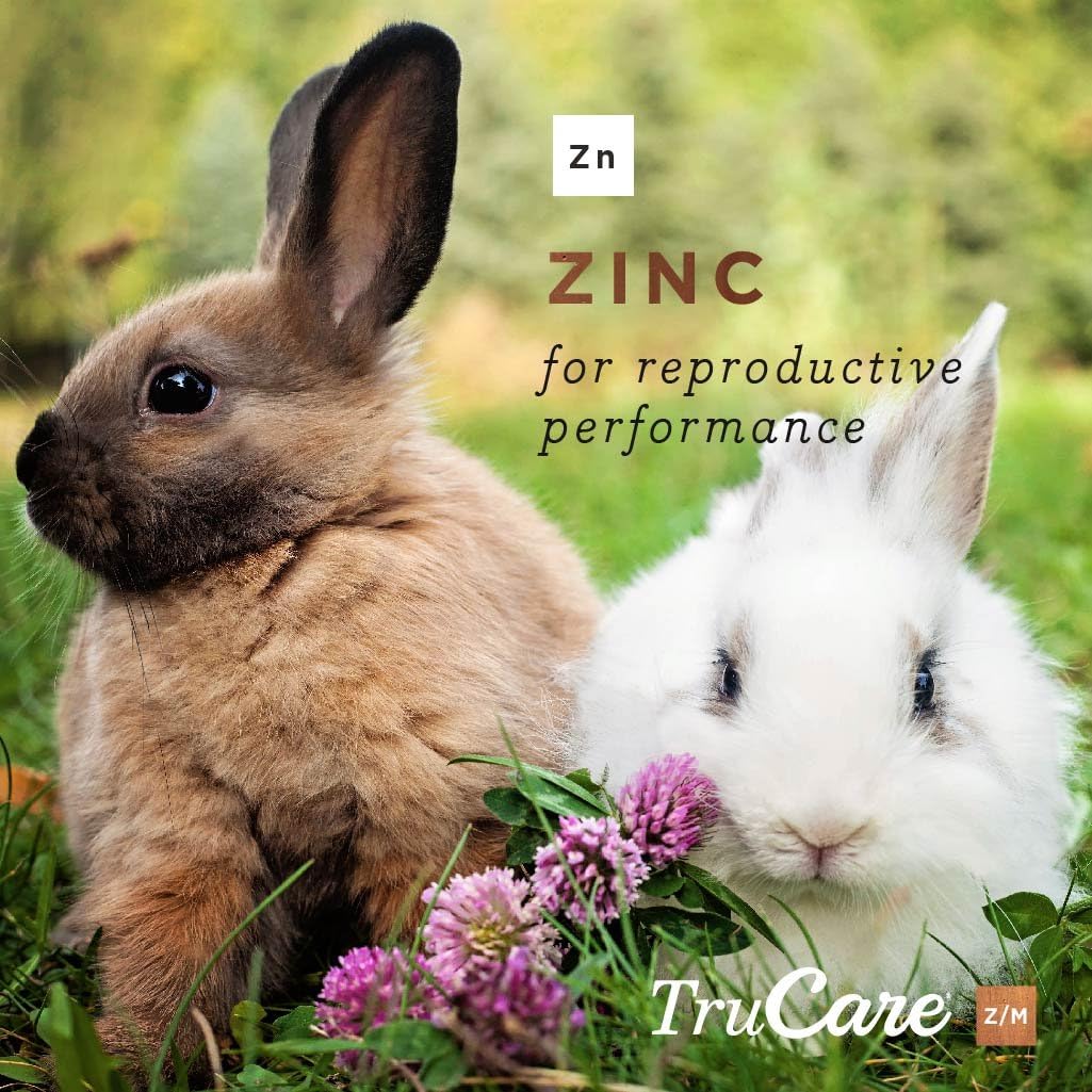 TruCare Z/M Top-Dress Trace Mineral Blend for Multi-Species: Pigs, Sheep, Llamas, Rabbits, Poultry (Zinc, Manganese) : Pet Supplies