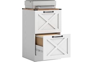 HOMCOM 2 Drawer File Cabinet with Silent Slides, Vertical Farmhouse Filing Cabinet with Adjustable Hanging Rails, Fits Letter