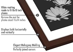 Americanflat 11x14 Picture Frame Set of 5 in