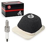 Air Filter Element Assembly & Spark Plug For YAMAHA