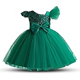 HNXDYY Baby Girl Party Tutu Dress Toddler Girl Sequins Wedding Pageant Ball Gown