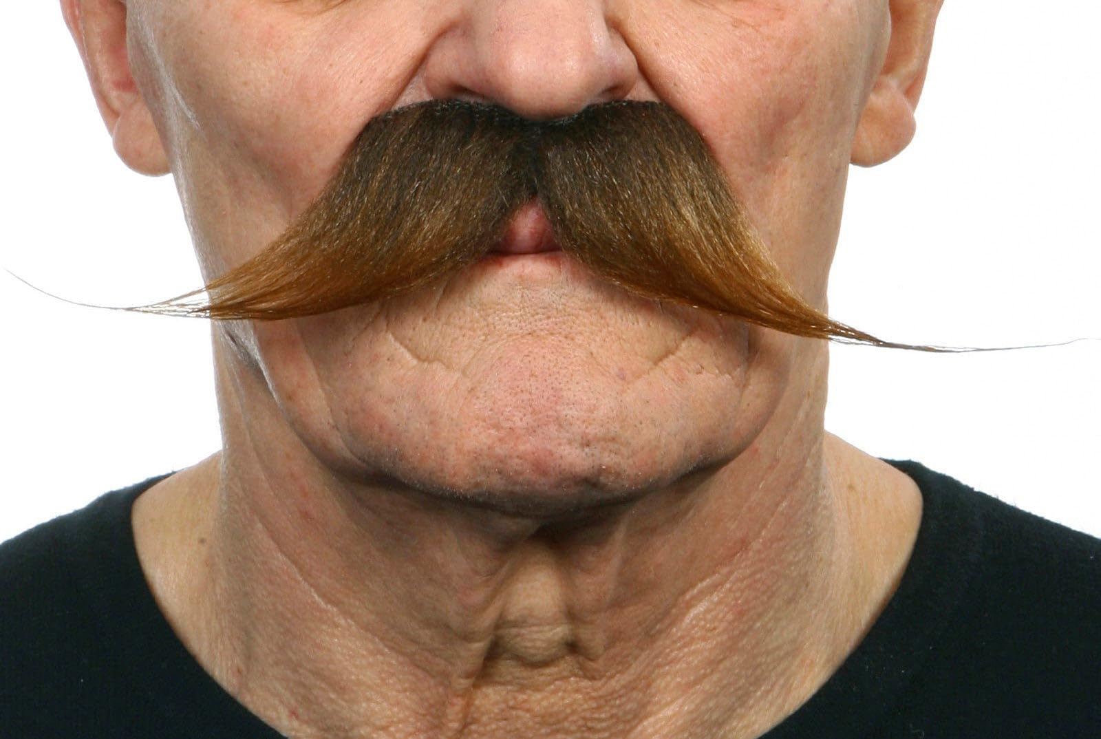 Viving Costumes 203901 Moustache