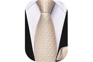 Dubulle Zipper Tie Set for Boys Stripe Checks Pretied Adjustable Kids Necktie and Pocket Square Set for Age 8-11