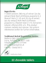 A.Vogel Echinaforce Chewable Tablets 80 for Cold & Flu Echinacea Extracts view 4