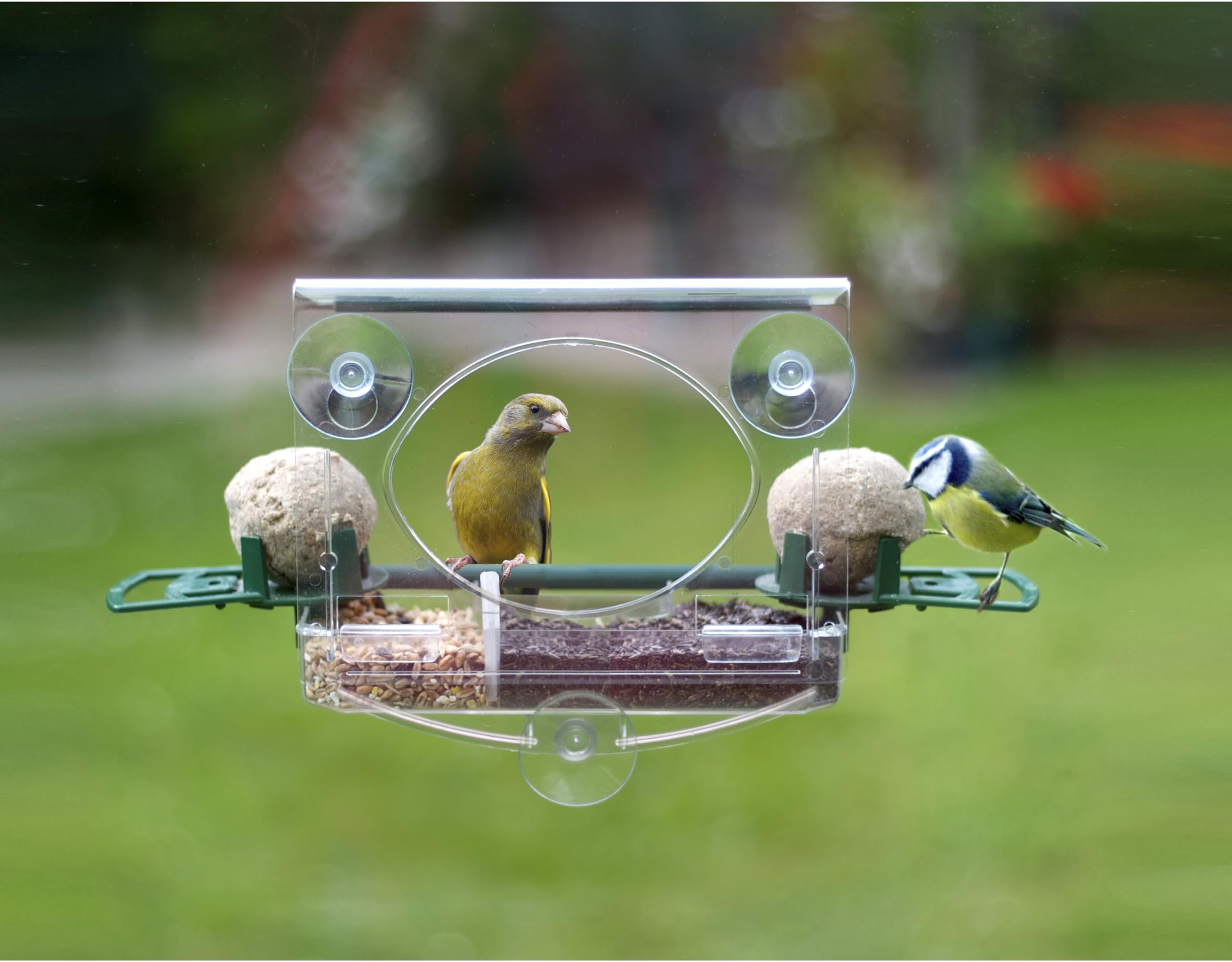 Meripac COMPLETE Window Feeder with Large Capacity Seed Tray