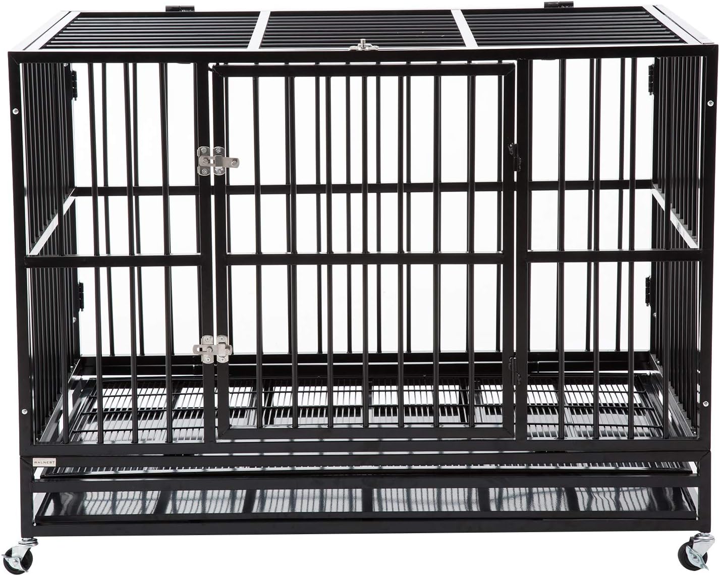 pet dental clinic near me