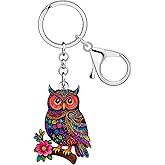 DOWAY Acrylic Kawaii Owl Keychain,Bird Key Chain Accessories Backpack Purse Bag Charms for Handbags Owl Gifts for Women Girls