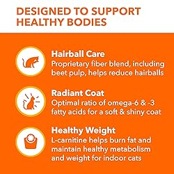 IAMS Proactive Health Indoor Weight Control