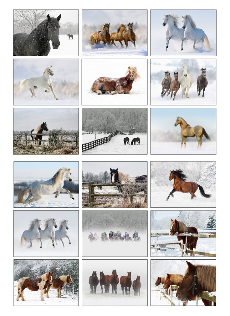 Equestrian Christmas Greeting Cards - Pack Of 18
