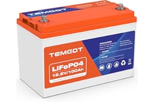 TEMGOT 12V 100Ah Low Temp Cutoff LiFePO4 Battery, 1280Wh Lithium Battery with 100A BMS, Support in Series/Parallel, Up to 5000+ Rechargeable Cycles, Perfect for RV/Camper, Solar, and Off-Grid