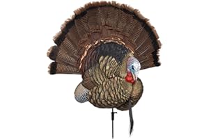Avian-X Trophy Tom/Wall Display/Turkey Decoy/Does NOT Include Beard OR Tail