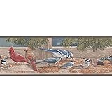 Birds Wallpaper Border Cardinal Bluebird Green Background By Rolling Borders Amazon Com
