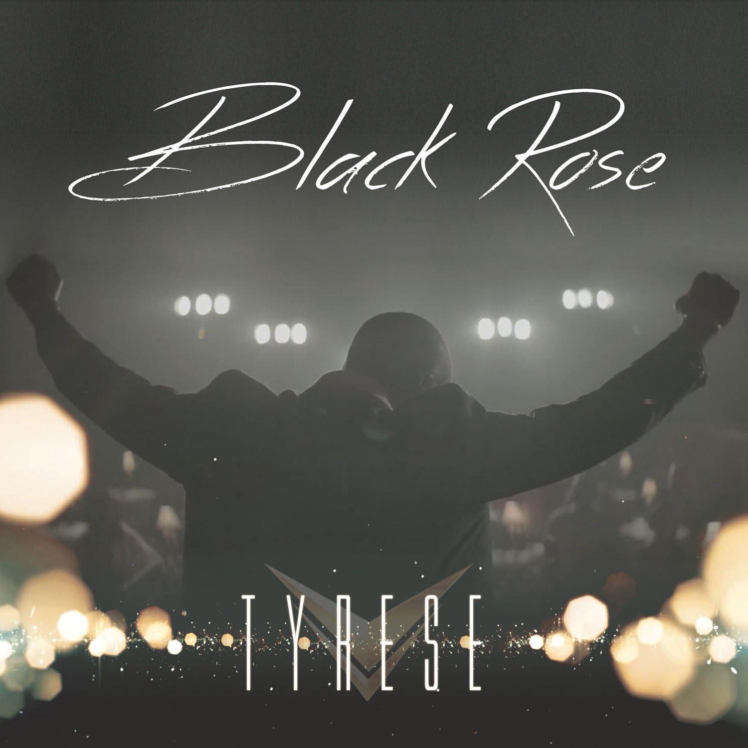 Black Rose, Multi-Color