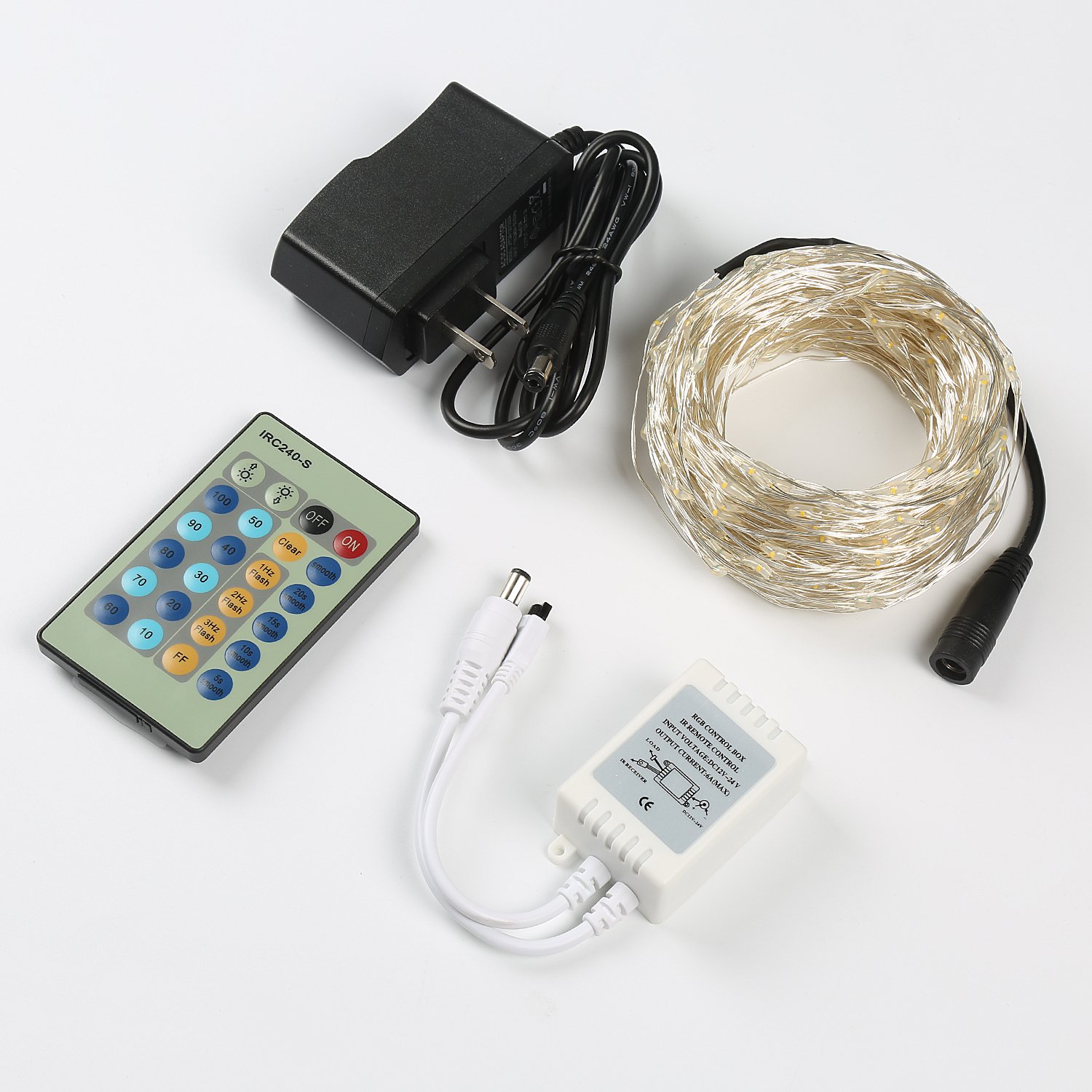 Fivanus 33Foot 100 LEDs Copper Strings Lights (Silver)