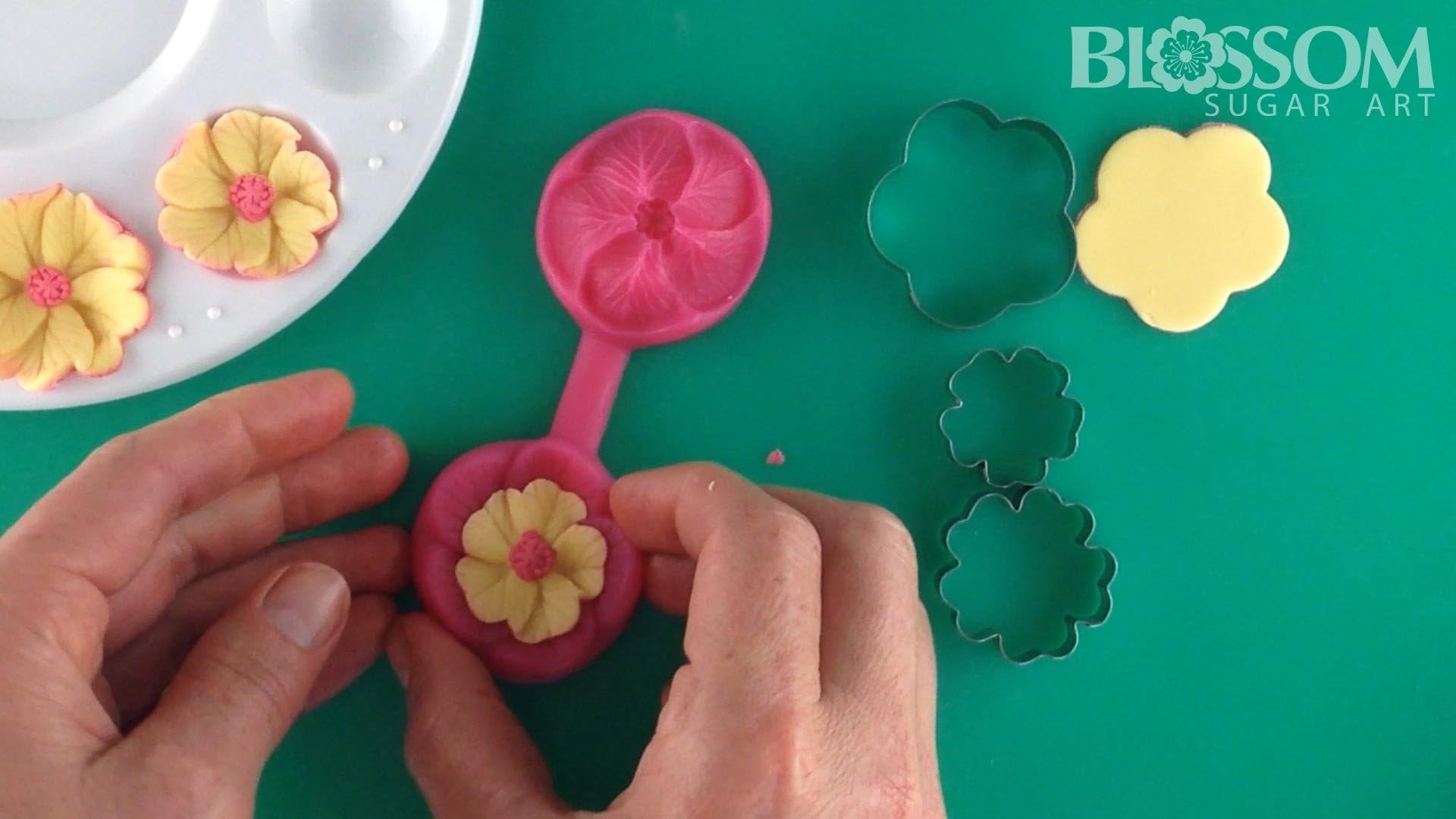 Blossom Sugar Art Fleur Silicone Mould and Cutter Set, Pink, 16 x 11 x 1.5 cm