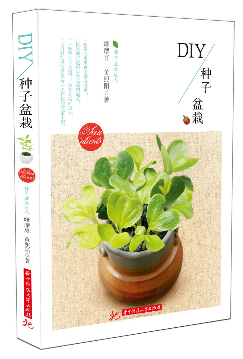 Diy种子盆栽 绿摩豆 黄照阳 Amazon Com Books