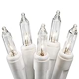 612 Vermont Clear 20 Count Christmas String Lights