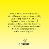 Rescue Rescue Kids Pastilles Strawberry Calm Daily Kids Bond Brand view 6