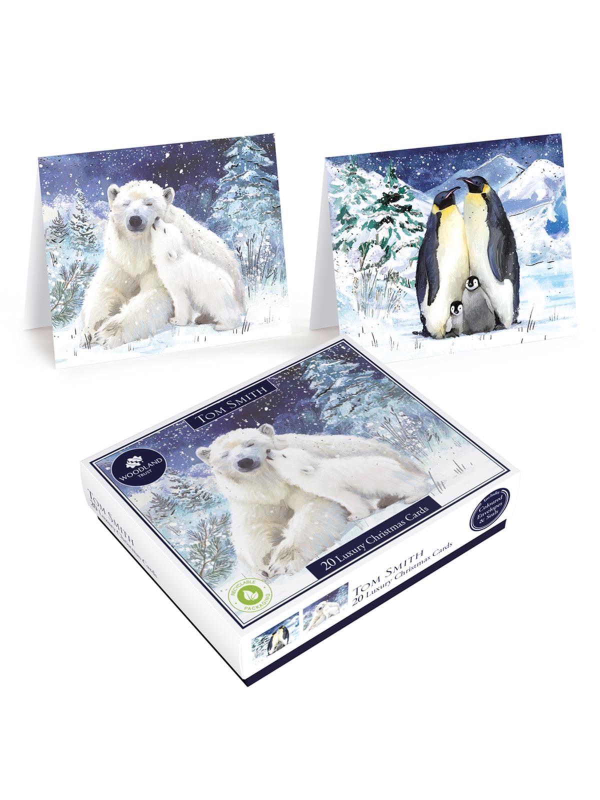 Tom Smith 20 Boxed Luxury Charity Christmas Cards 2 Polar Bear & Penguin Designs, 155 x 125mm
