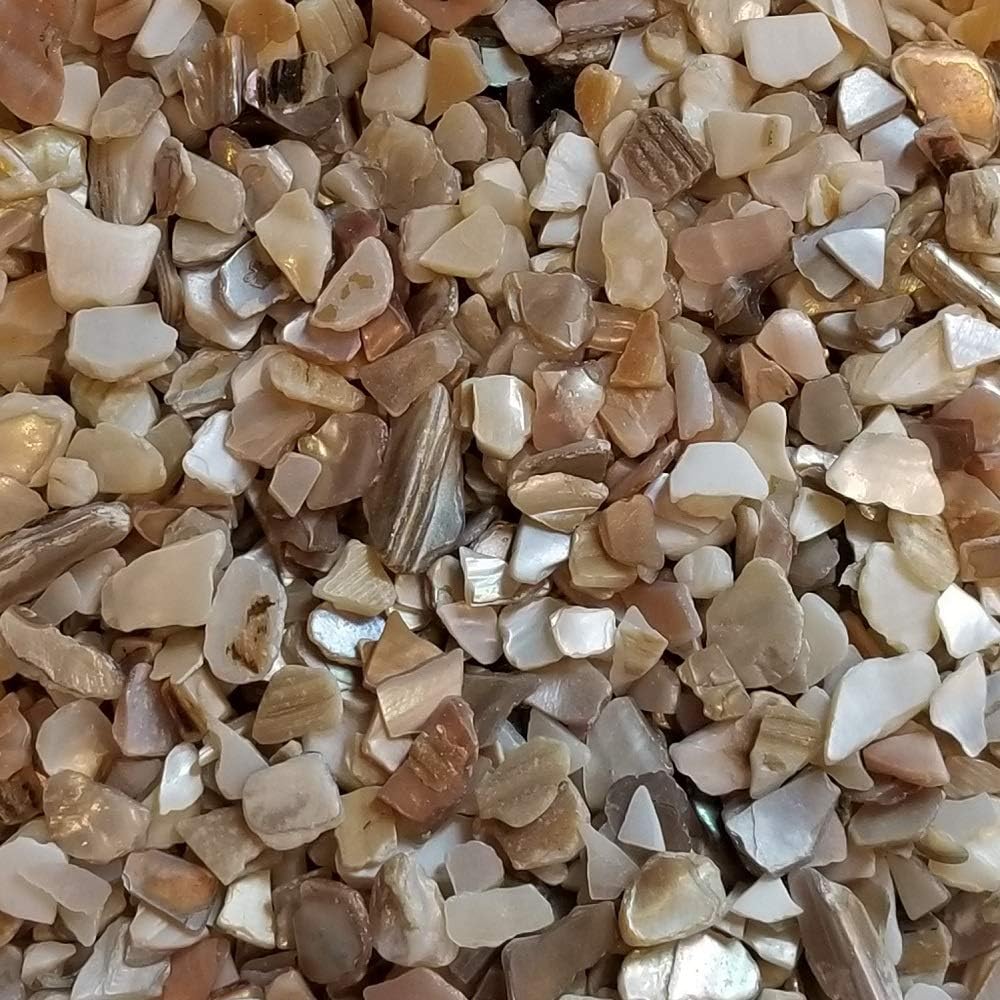 Vase Fillers - BeachWalk Small Natural Crushed Shells - for Weddings, Vase Filler, Home Décor, and Crafts (32 oz (2 lb), Natural Pearl)