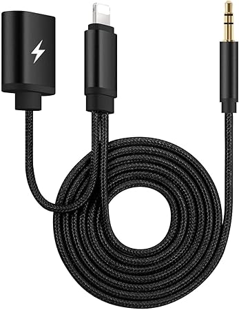 can you charge a speaker with an aux cord