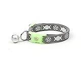 supernatural cat collar