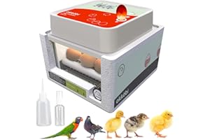 Okköbi OBI-12 Egg Incubator for Hatching Chickens, Ducks & Other Birds + New 2024 + Automatic Egg Turner + Temperature Control + Humidity Display + Integrated Egg Candler + 5 Year Warranty