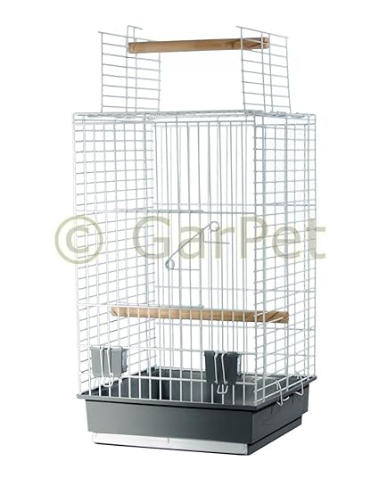 Cage à Oiseaux Cage Pour Perroquet Perroquet Sans Siège
