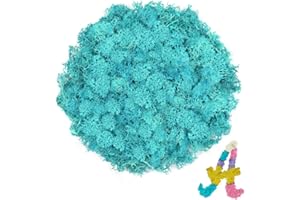TCYPUHL Preserved 3.5 OZ Blue Reindeer Moss for Potted Plants,Craft Decor for Wall Art,Fake Moss for DIY Decorative(3.5 OZ, Blue)
