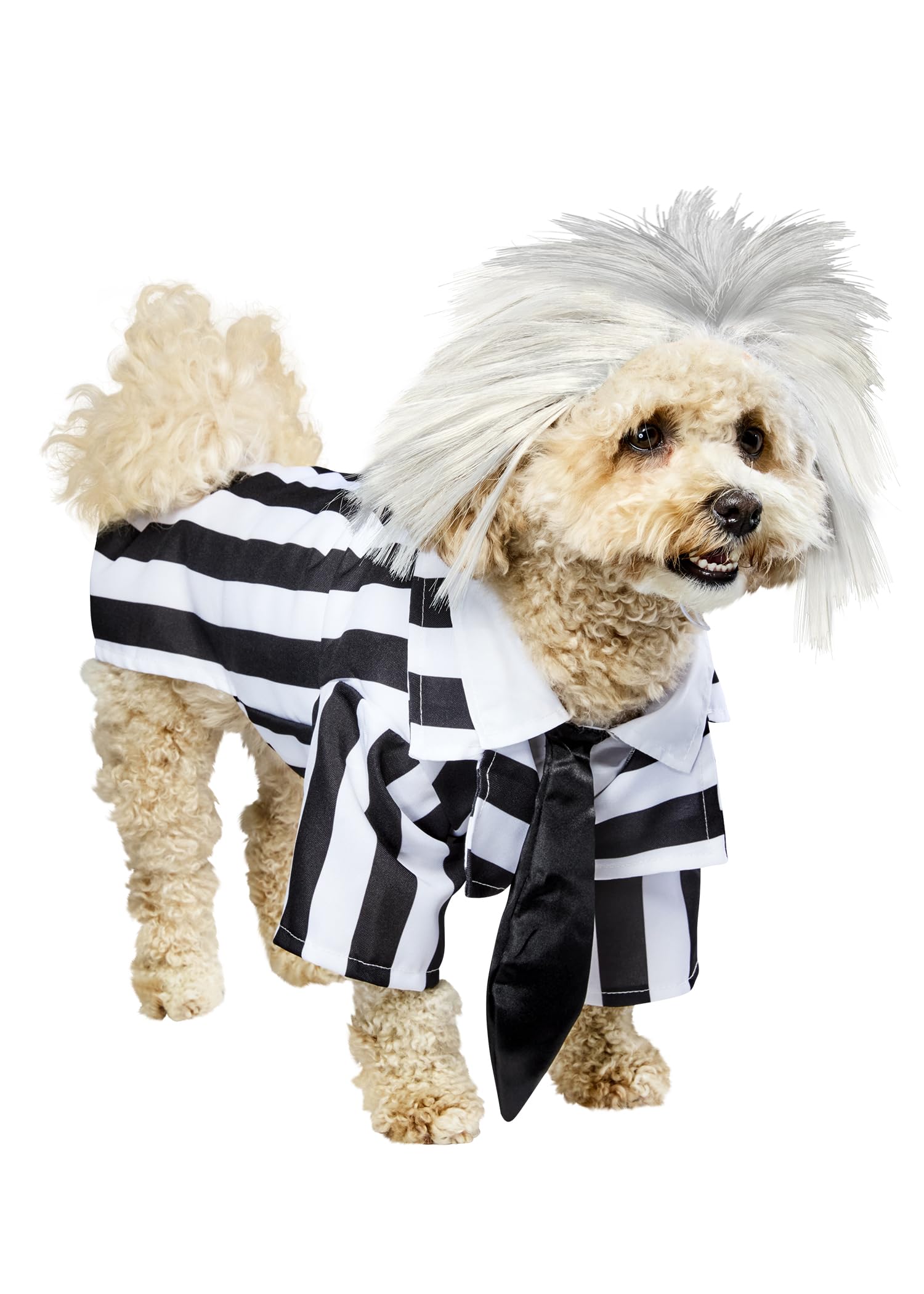 Rubie's Beetlejuice Halloween Pet Dog Costume, Size Medium - M