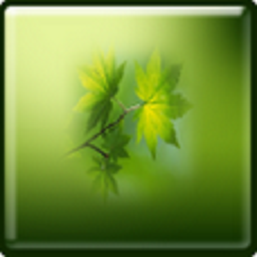 Falling Leaves Live Wallpaper:Amazon.com:Appstore for Android