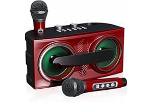 SINWE Karaoke Machine,Portable Bluetooth PA Speaker System with Colourful LED Lights and 2 Wireless Microphones, Music Box with AUX/USB/TF, Singing Karaoke Set for Adults/Children YS-206