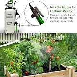ANSIO Garden Sprayer 8 Litre Pressure Pump Action Handheld Sprayer view 5