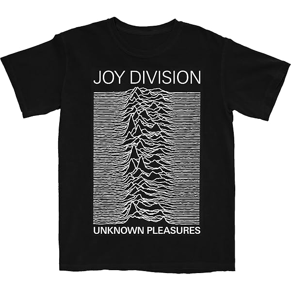 Amazon.com: Joy Division Unknown Pleasures Adult tee (Small) Black
