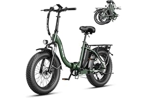 Heybike Ranger 2.0 Foldable Electric Bike for Adults, Peak 1400W Peak Motor Ebike, 45KM/H Max Speed [20"*4 Fat Tire All-Terra